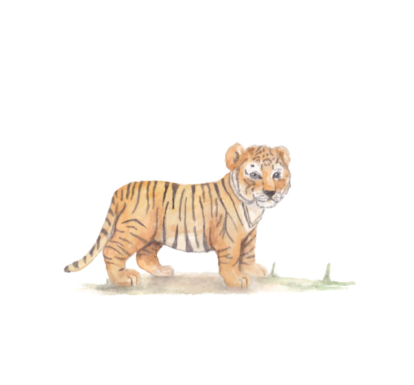 muursticker tijger welp